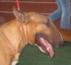 Ia?aou, ?oiau oaaee?eou